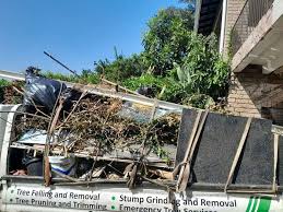 Best Residential Junk Removal  in USA